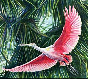 Blue Heron: Florida Nature painted by Malanda Schmitz Fine Artist